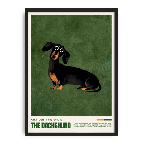 Framed poster of a dachshund on a green background
